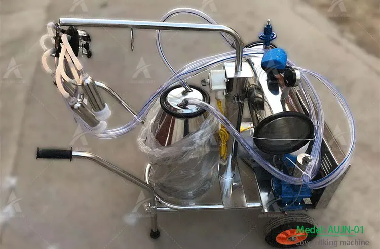 Strisce Igieniche Per Water - Confezione Da 250 Pezzi Per Protezione E Igiene (Modello 22996) - Foto 7