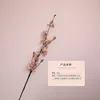 Pink (encrypted version)