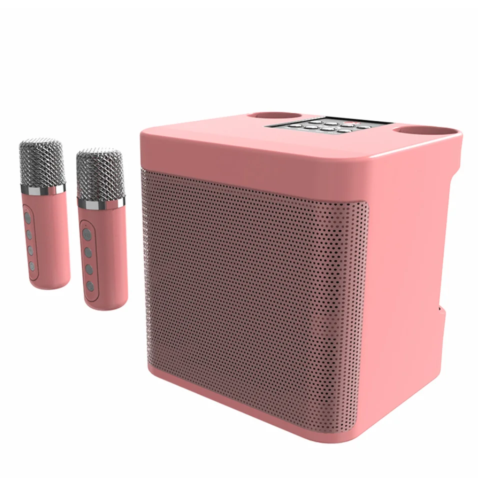 Wireless Karaoke Speaker with Voice Change Function