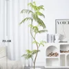 Árbol de Jacarandá de 1.8 metros [Incluye maceta blanca, etiqueta y hojuelas de coco]