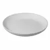 stone pattern plate B