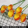 10 calas de color naranja