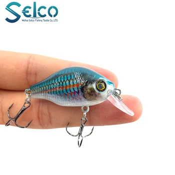 Selco 5.5cm 8g Hard Soft Plastic Fishing Lure Bulk Plastic Baits for Carp Fishing – Soft Lure – view 4