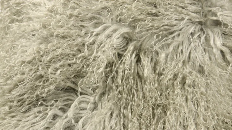 tibetan fur (9).JPG