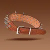 XQ068 Camel Studded Necklace