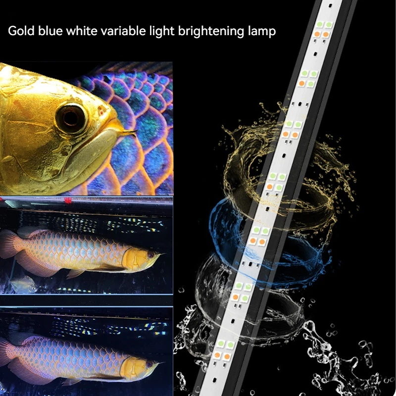 Mayin Brand Arowana Golden Dragon Magic Lamp IP68 Waterproof