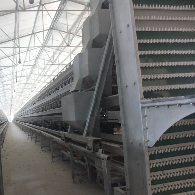 A Type 4 Tier Chicken Layer Battery Cage for 10000 Birds