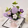 Tulip Purple
