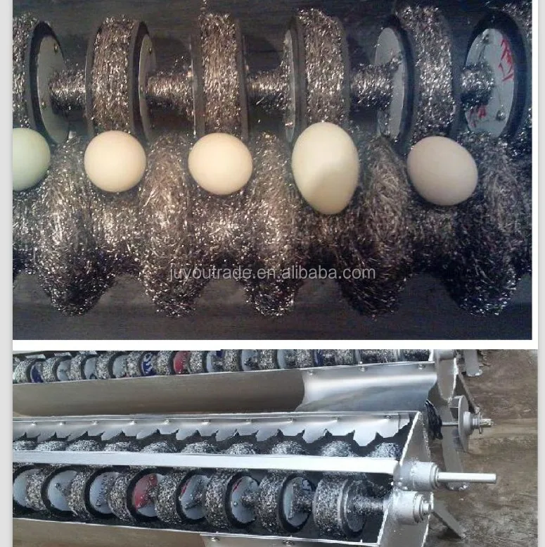 High Efficiency Automatic Egg Washing Machine