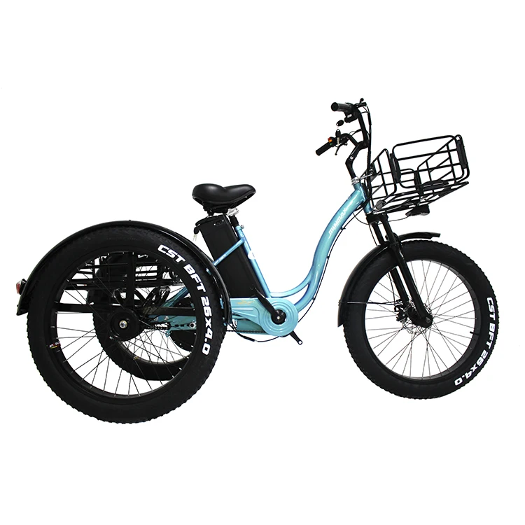 Three Wheel Electric Tricycle/48 V 20.8 Ah Lithium Battery With Pedal