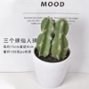 Three ball cactus