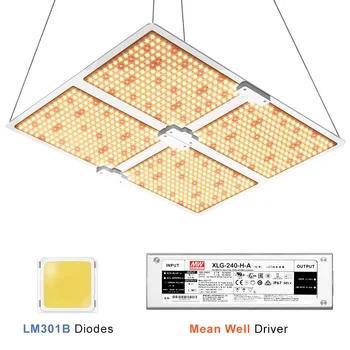 120W 240W 480W Commercial LED Grow Light Board LM301B UV IR for Greenhouse Hydroponics