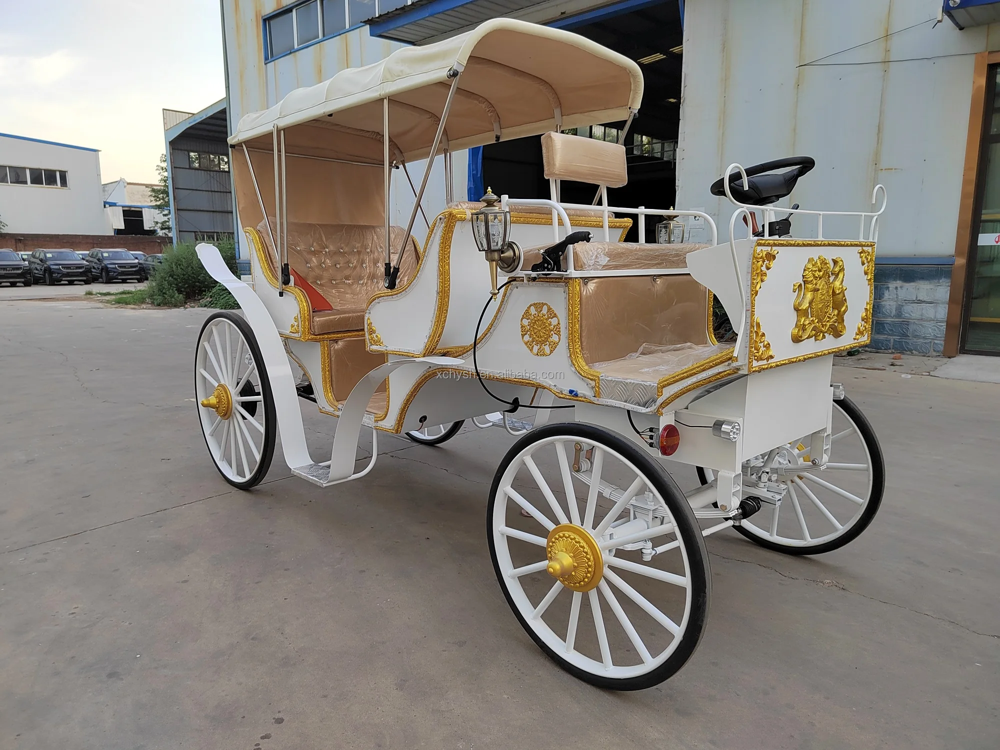 6seater Electric Special Transport Vehicle/noble Electric Tourist