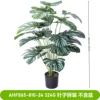 AHF865-810-24