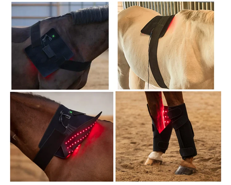 Led Red Light Near Infrared Light Pet Horse Lighttherapy Led Lamp Horse