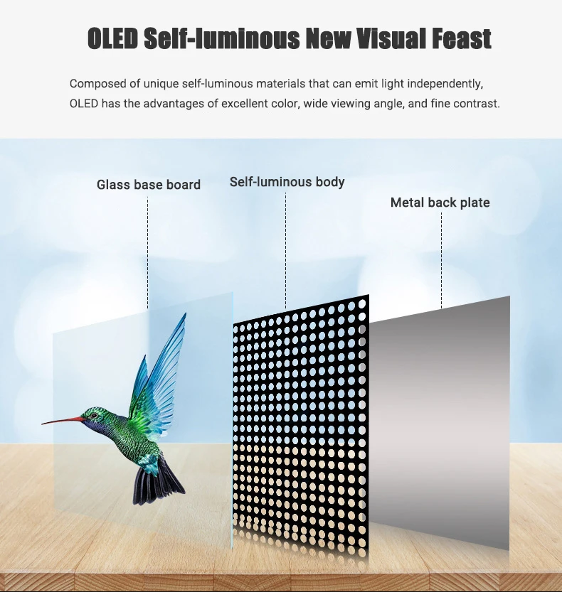 Indoor 55 Inch Touch Screen OLED Display KIOSK Transparent OLED Screen 3 Years Warranty