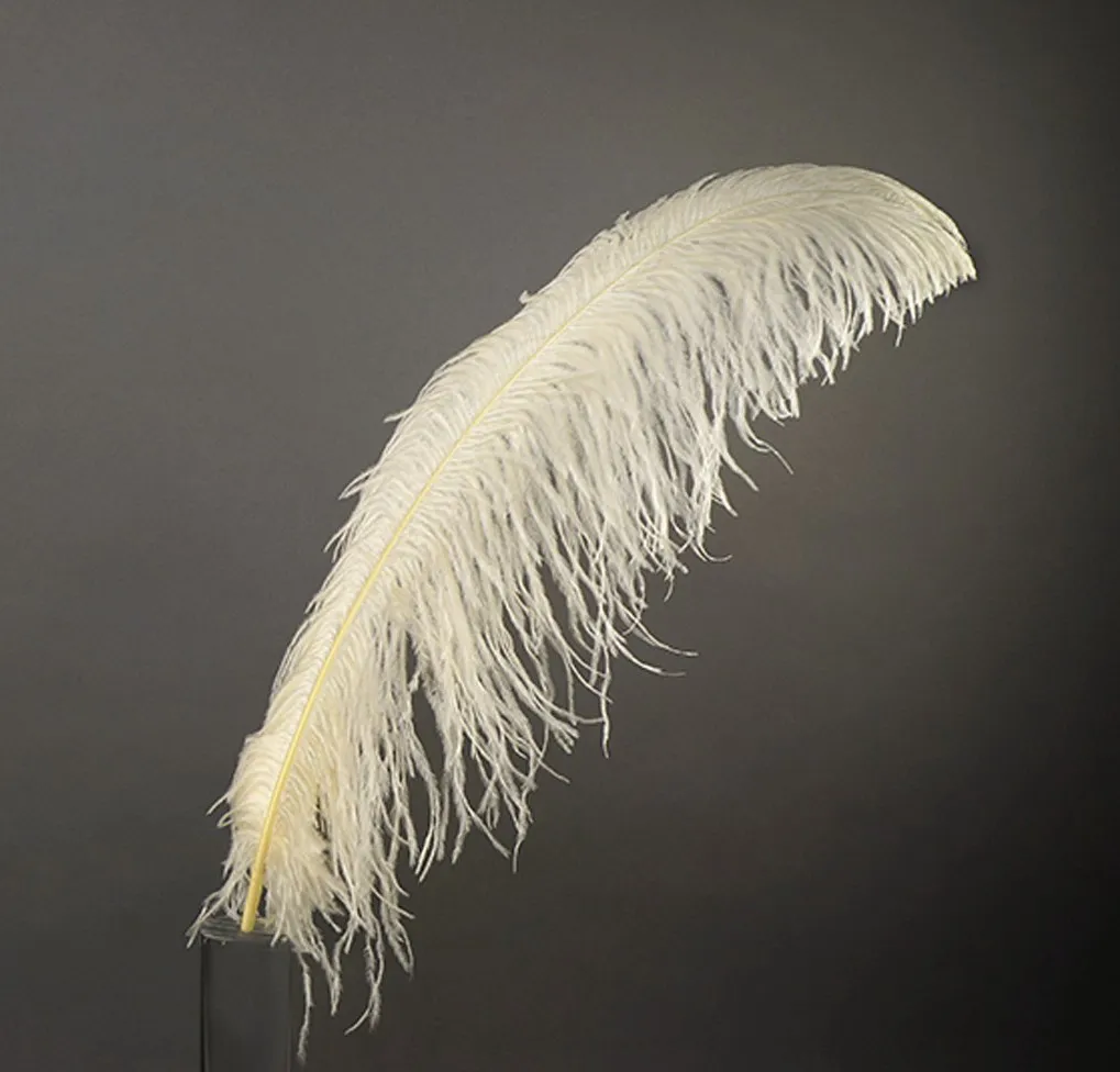 Bulk Ostrich Feathers For DIY Decor (45-50cm) - Wedding, Costume & Party Plumes 4 thumbnail image