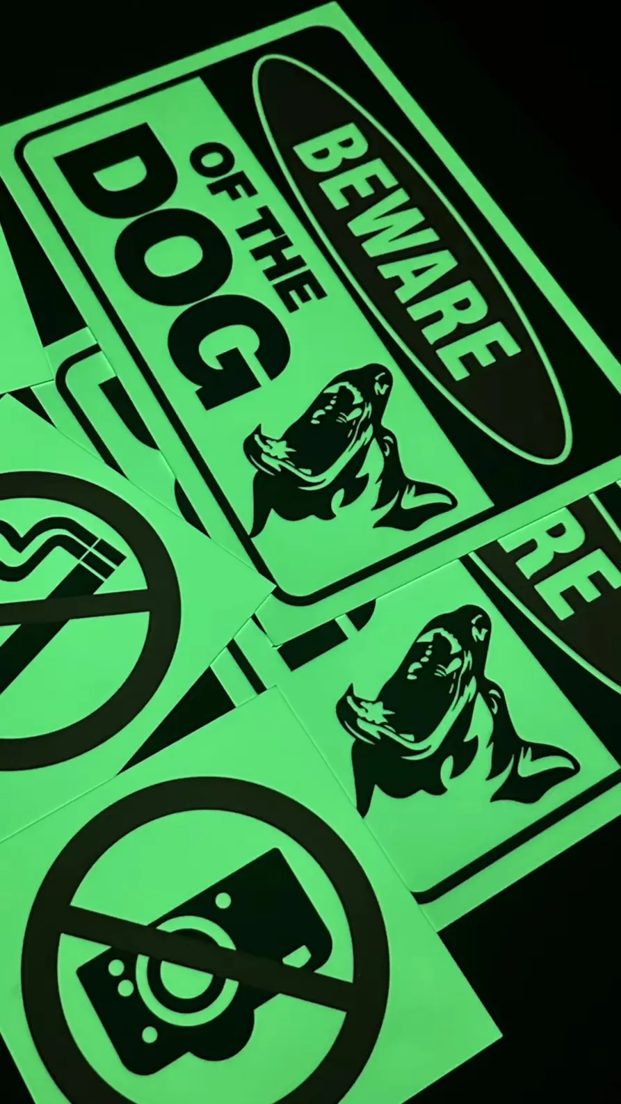 Beware of the Dog Sign Glow in the Dark Warning Sign Beware of Dog