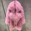 23O017 Rosa