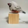 Blocco di legno grigio