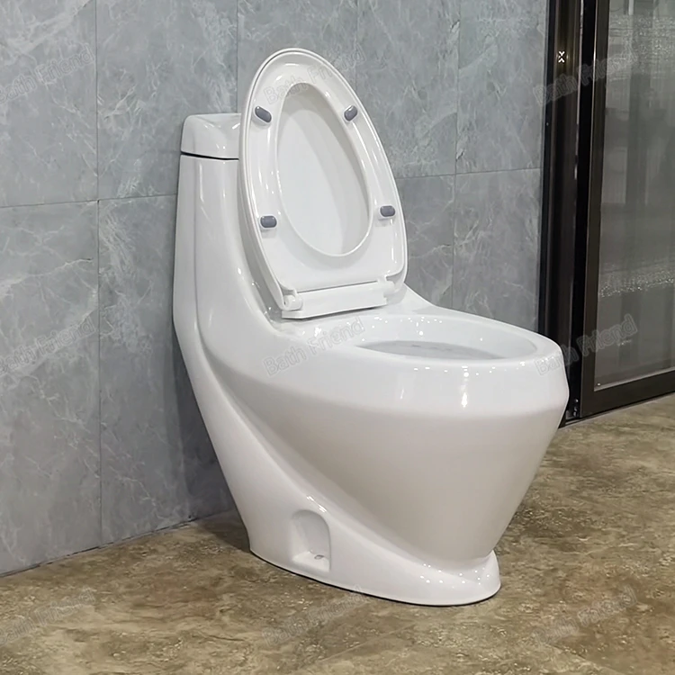 Libya Sanitary Ware with CE Certificate Bathroom Big Hole One Piece Toilet