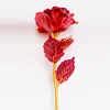 Fleur dorée colorée [Rouge vif] 50x15