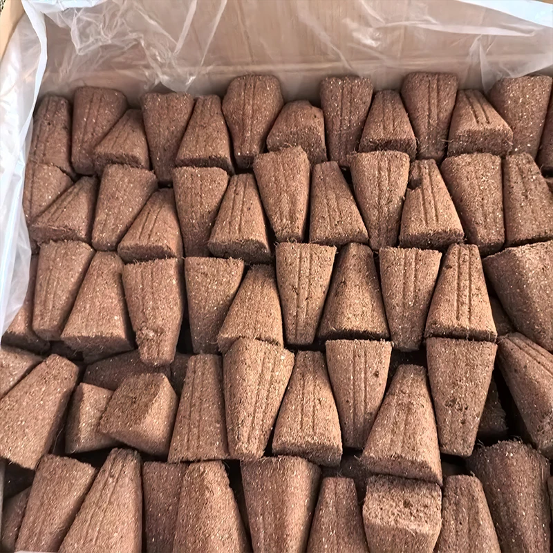 32 Cells Factory Coco Coir Peat Large Vegetable Plant Soil Starter Plug ...