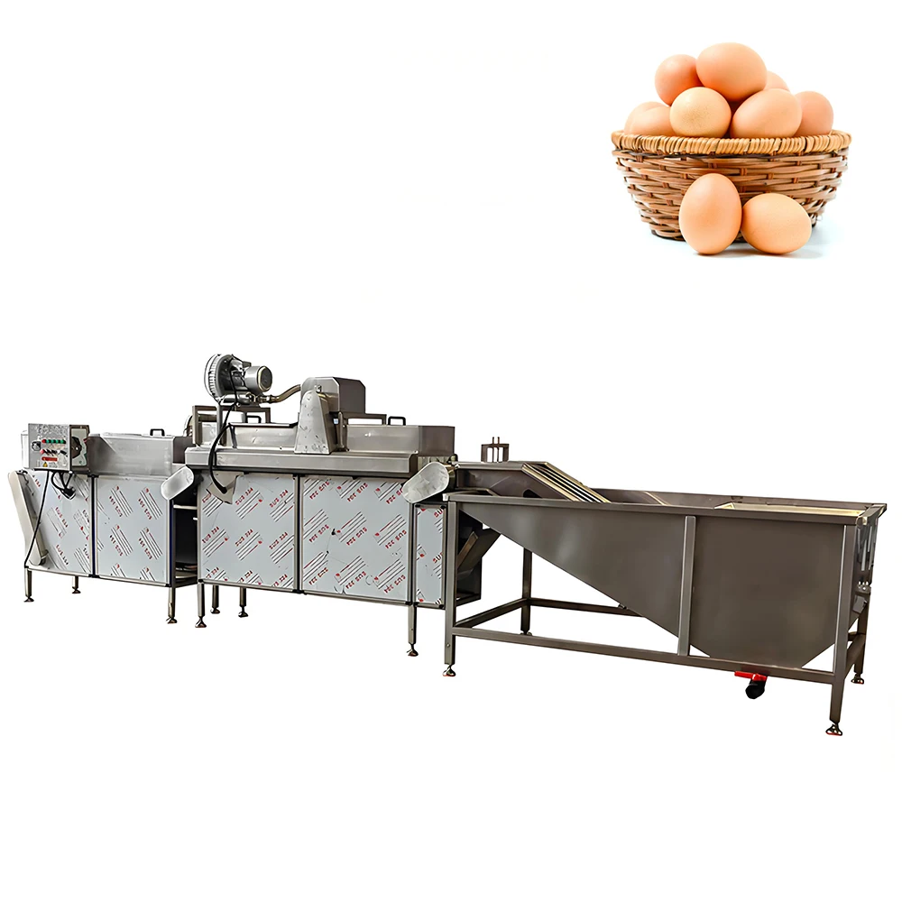 VBJX Small Automatic Chicken Egg Brush Cleaner Washer for Sale Egg Dry Cleaning and Grading Machine