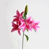 Deep pink