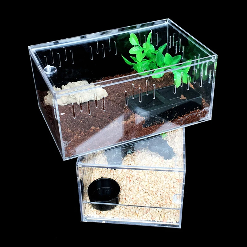 Small Pet Breeding Box Transparent Acrylic Lizard Reptile Snake Display ...