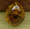 Honeybee