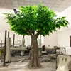 Arbre vert