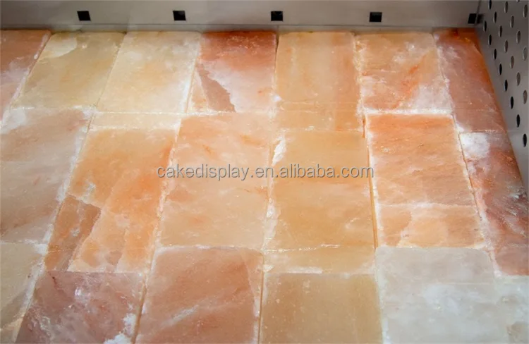 salt himalayan block dry ager fridge