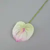 09 rosa