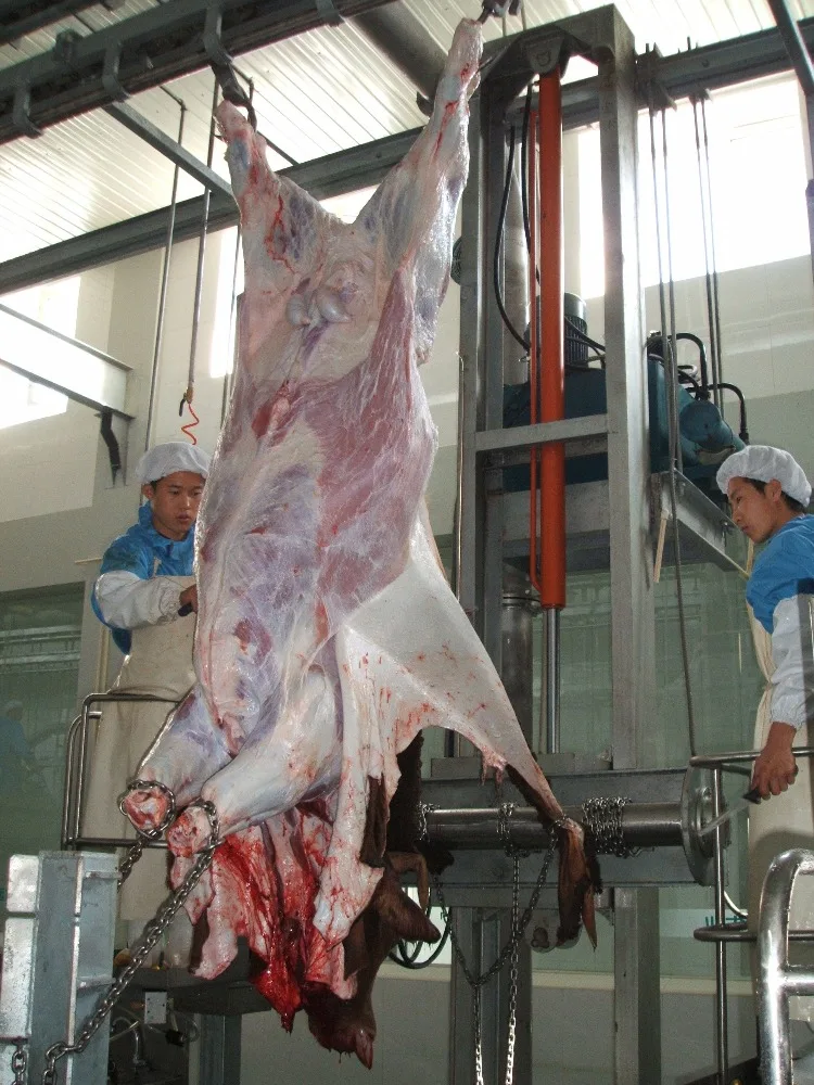 Intelligent Automatic Slaughterhouse System Halal Cow/Cattle Slaughterhouse