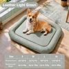 Light Green Leather