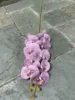 Purple 2