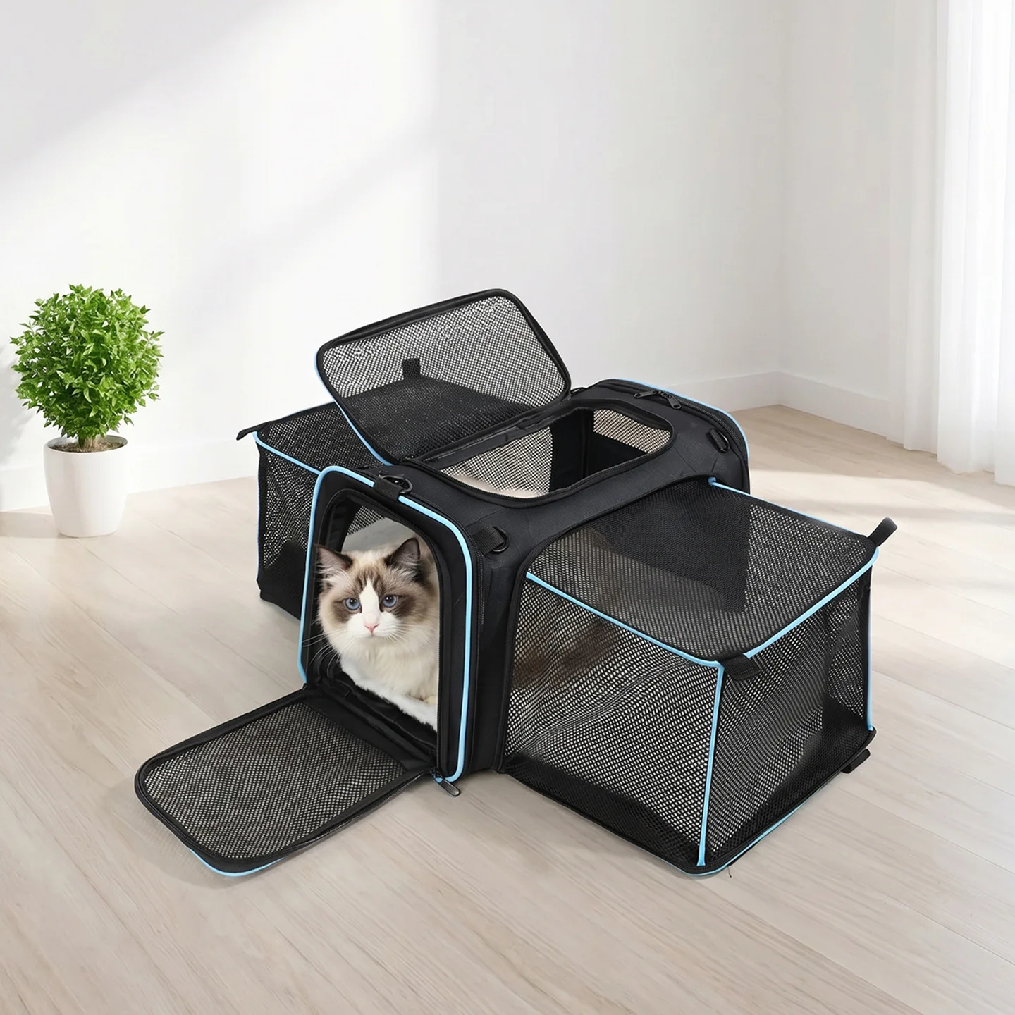 Factory Direct Supply Pet Bags (Cat & Dog) Expandable Large Capacity Portable Shoulder Slung Out Bag