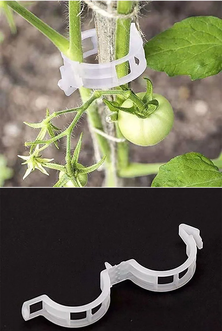 Vine hanging vine green plant vine fixation clip pepper eggplant fixer seedling plant clip supplier