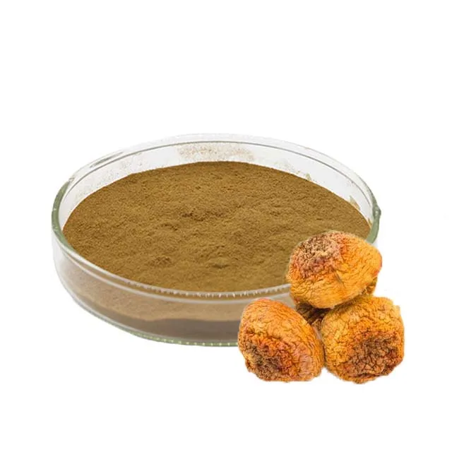 
 Органические грибы, львы, грива, мицелий, порошок герициума  