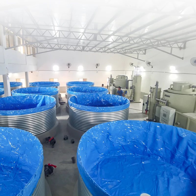 RAS Commercial Aquaculture Systems - Efficient Fish Farming