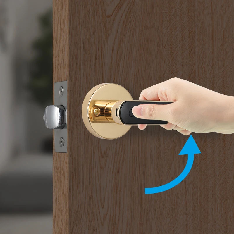Rechargeable Fingerprint Code Password Unlock Intelligent Mortise Latch Door Locks Steel Door Cloud Data Storage for House Use