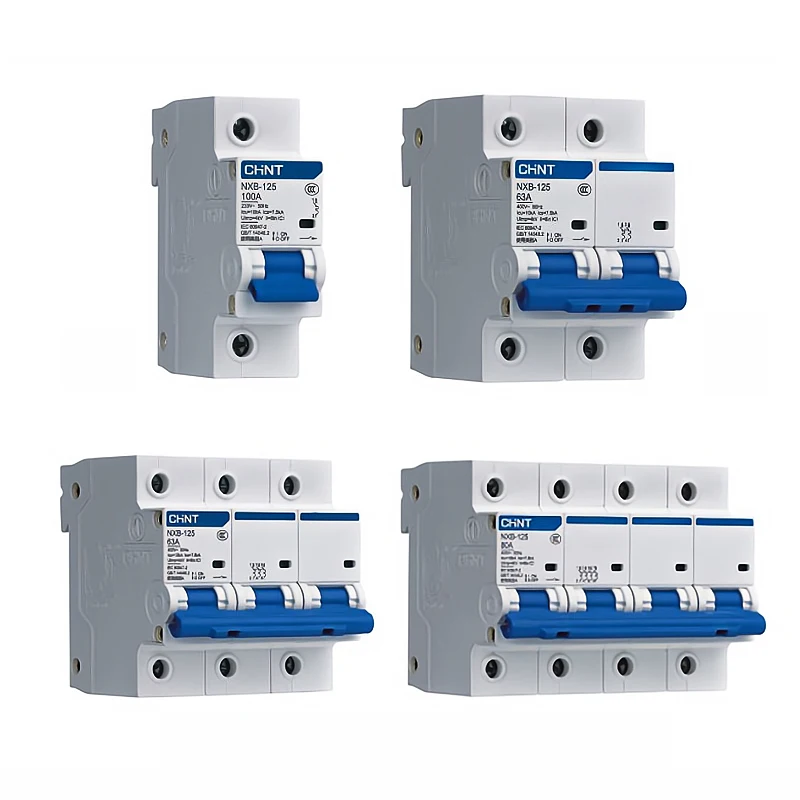 CHINT Double Pole 125A MCB Main Switch DP 125A CHINT MCB Circuit Breaker NXB 2P 100A MCB 10kA CHINT Miniature Circuit Breaker
