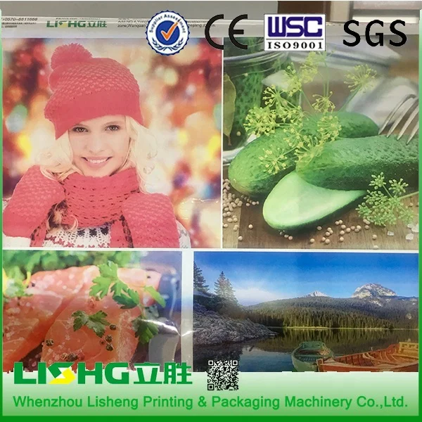 Li Sheng CE Certificate CI Type Roll to Roll Paper 4 Color Narow Web Digital Label Flexo Printing Press Machine