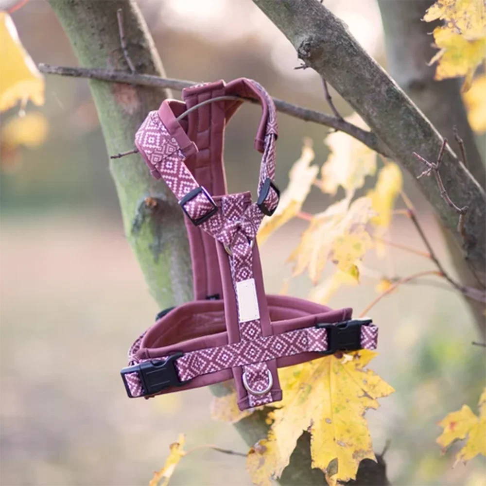 OEM Custom Pattern Dog Harness With Matching Leash Collar No Pull Walking for Small Medium and Large Dogs