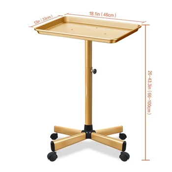 Hair Salon Trolley Tray Hairdressing Salon Working Trolleys Cart Holder Gold Salon Furniture Mobile Kitchen Modern Things