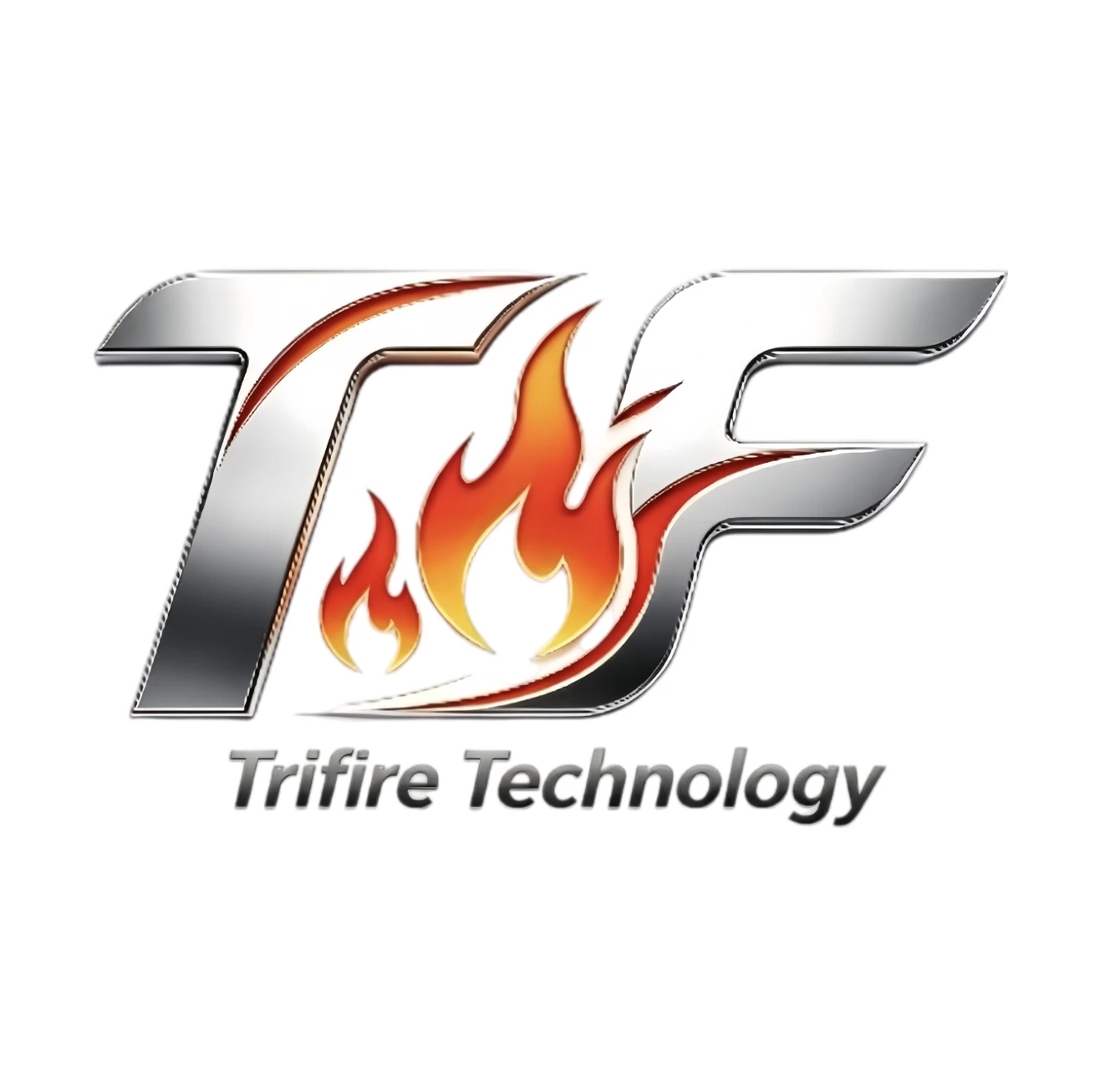 Trifire Company Overview - Foshan Trifire Electric Appliance Technology Co., Ltd.