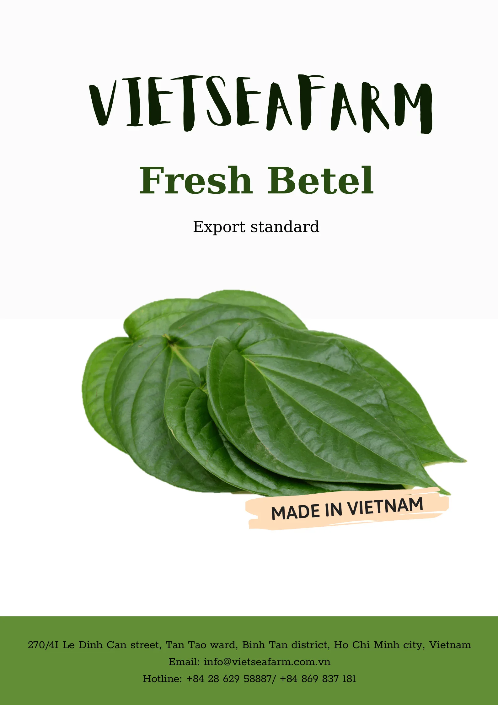 Fresh Betel Leaves Are High Quality And Widely Used Products In The Market Buy Betel Nut