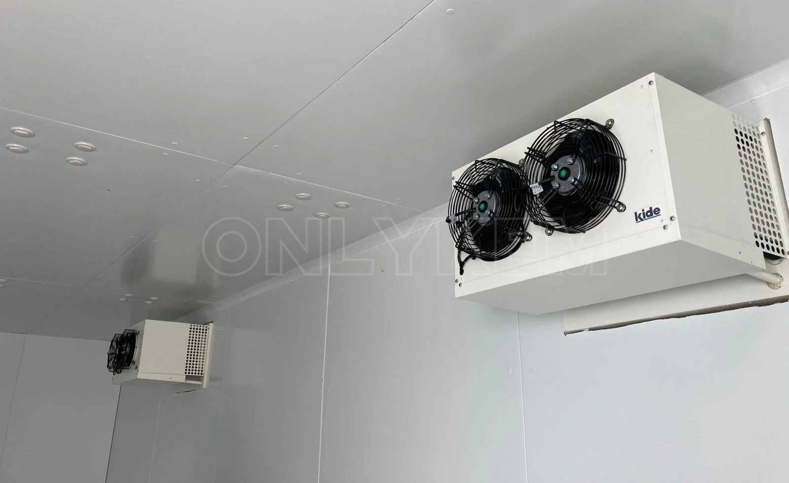 冷蔵室で移動可能なウォークをフルーツ収納/冷蔵室で直接販売