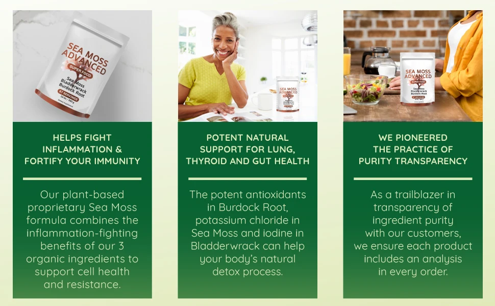 Herbal Extract Seamoss Drink Immune System Booster Vegan Sea Moss Powder Packets With Bladderwrack & Burdock Root
